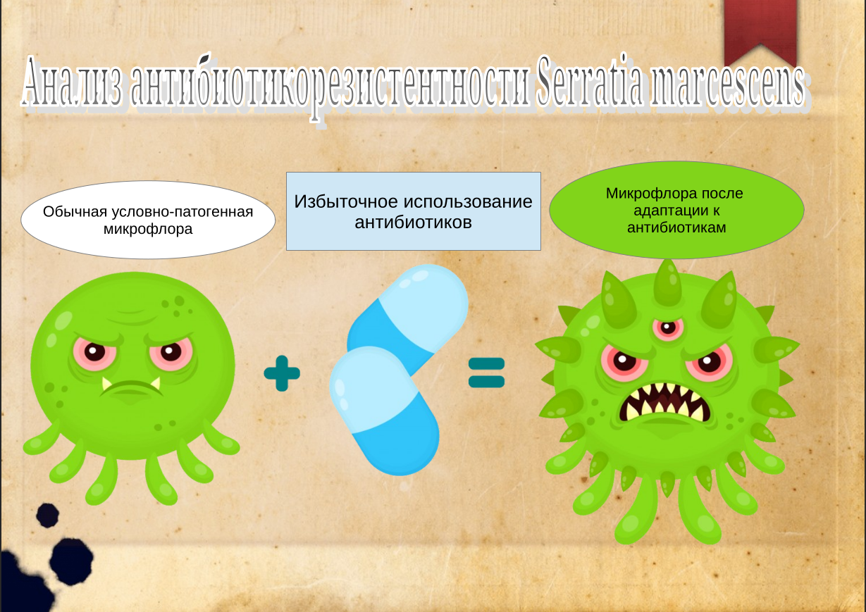 Анализ антибиотикорезистентности Serratia marcesc.